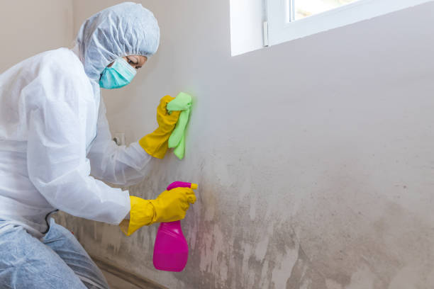 Best Biohazard Mold Removal  in Mathis, TX